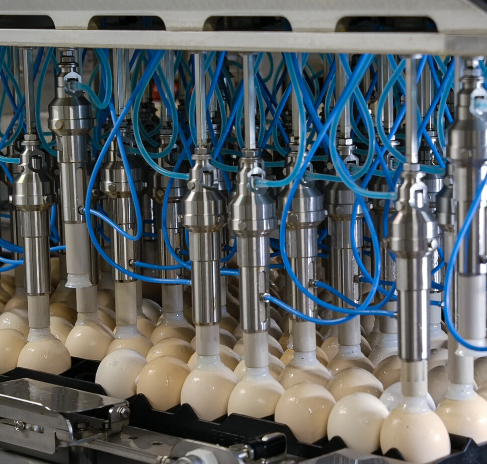 Egginject_Vaccination_Equipment