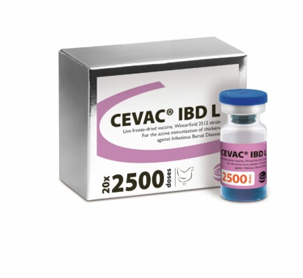 Cevac-IBDL- Packshot
