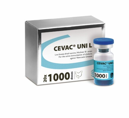 Cevac-UNI-L-Bottle+Box