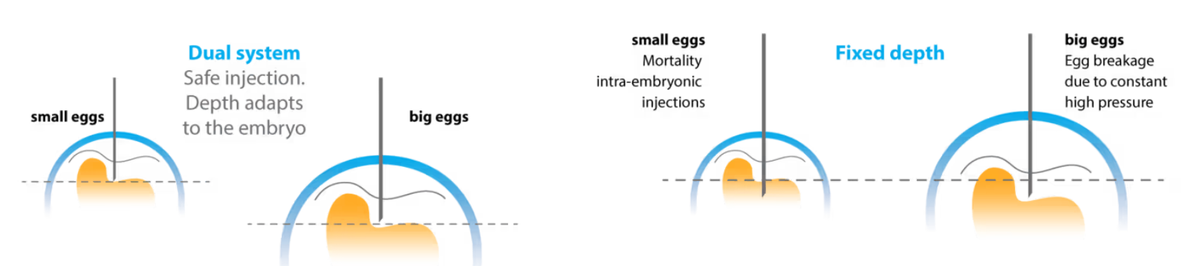 Egginject_Needle_Depth_Adaptation
