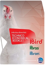 Small_IB Technical economical booklet