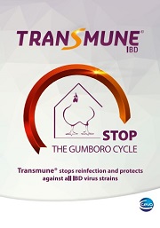 Small_Transmune Brochure